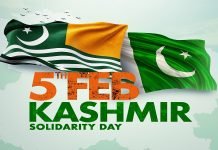 Pakistani diplomatic missions celebrate Kashmir Solidarity Day worldwide Kashmir Day - The News Today - TNT