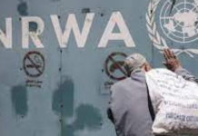 UNRWA pronounced guilty until proven innocent, Palestinians pay the price. United Nations, UNRWA
