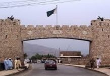 Over 80 Vehicles Of KP Govt Livestock Department Missing: Audit KP - The News Today - TNT