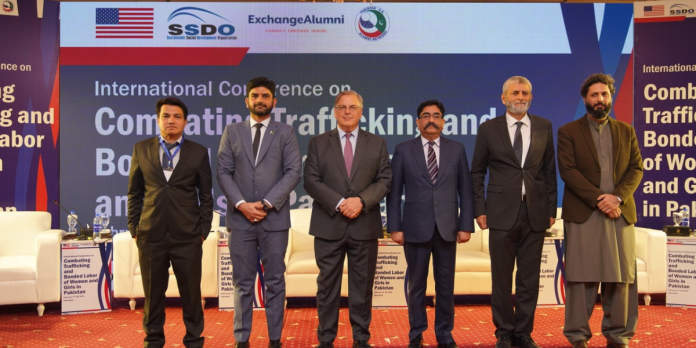 Untitled design (15)