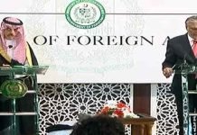 Pakistan, Saudi Arabia call for immediate ceasefire in Gaza FMs - The News Today - TNT