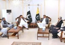 AJK Premier, federal minister discuss Kashmir situation Kashmir - The News Today - TNT