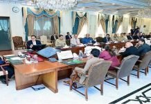 Premier Shehbaz Sharif orders formation of Pakistan Skill Company to train overseas Pakistanis Cabinet - The News Today - TNT