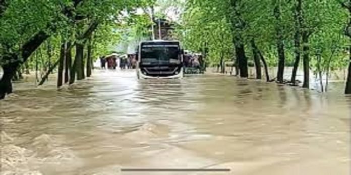 Flood - The News Today - TNT