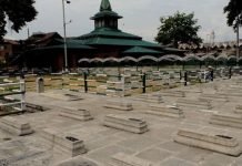 Kashmiris in IIOJK, AJK, Pakistan and world-over mark July 13 as Kashmir Martyrs day Martyrs - The News Today - TNT