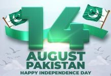 Pakistan Celebrates 77th Independence Day Pakistan - The News Today - TNT