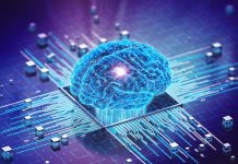 OpenAI Sees $11.6bn Revenue Next Year, Offers Thrive Chance to Invest Again in 2025 AI - The News Today - TNT