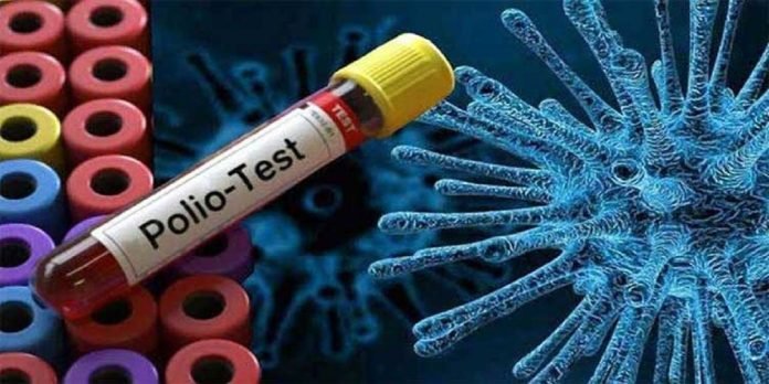 Polio - The News Today - TNT