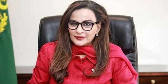 Sherry - The News Today - TNT