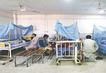 Khyber Pakhtunkhwa Registers Highest Number of Dengue Cases Dengue - The News Today - TNT