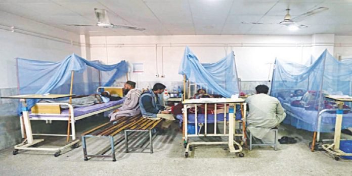 Dengue - The News Today - TNT