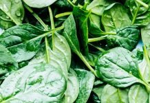 Spinach Helps in Boosting Immunity During Winters: Report Spinach - The News Today - TNT