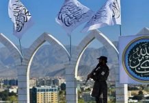 Afghan Politicians See Assad’s Fall as Warning to Taliban Taliban - The News Today - TNT