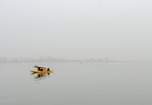Thick Fog in Parts of Kashmir, Valley Braces for Widespread Snowfall Cold - The News Today - TNT