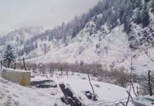 Fresh Snowfall in Srinagar, Parts of Kashmir Brings Mercury to Freezing Point Kashmir - The News Today - TNT