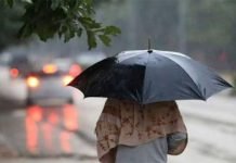 Rain, Snowfall Forecast for Upper Regions; Dense Fog to Persist in Plains: PMD Rain - The News Today - TNT