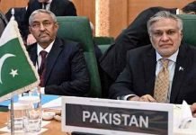 Pakistan Stands For Arab League’s Gaza Reconstruction Plan Dar - The News Today - TNT