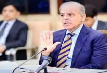 Premier Shehbaz For Early Finalization Of EV Policy Shehbaz - The News Today - TNT