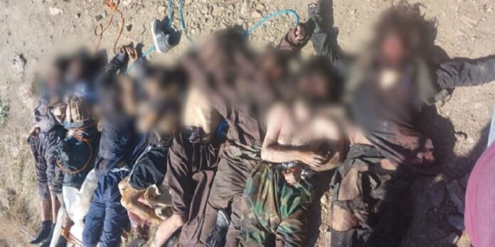 TTP - The News Today - TNT