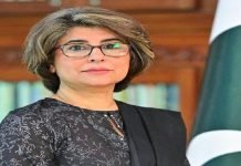 Amna Baloch Discusses Pak-US Bilateral Ties With Congressmen Amna - The News Today - TNT