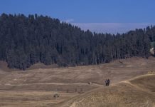 MeT Forecasts Dry Weather In J&K Till April 17 Dry weather - The News Today - TNT