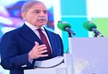 Premier Shehbaz Urges Global Investors To Tap Into Pak Expanding Economic Opportunities Shehbaz - The News Today - TNT