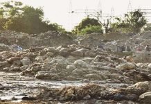 Section 144 Imposed Across Punjab On Eidul Azha Animal Waste - The News Today - TNT