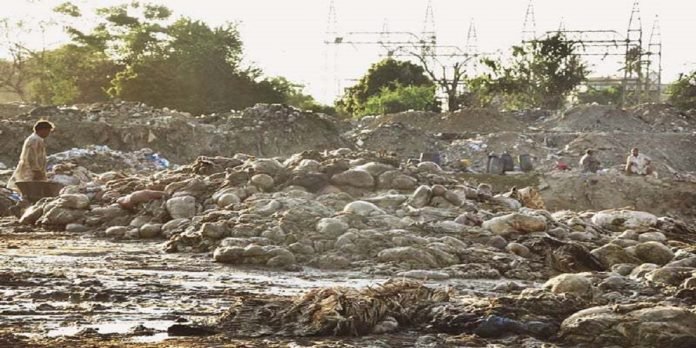 Animal Waste - The News Today - TNT