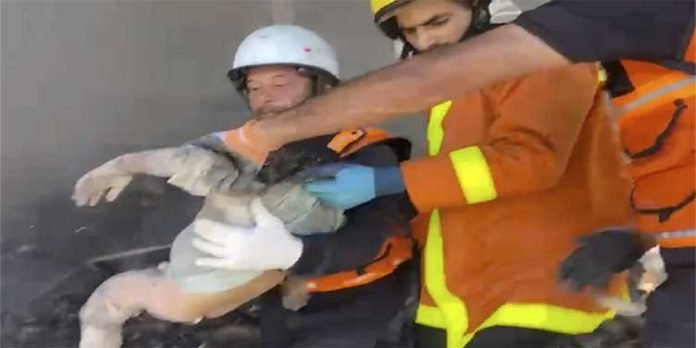 Gaza Gaza - The News Today - TNT