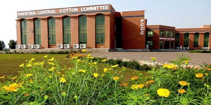 PCCC - The News Today - TNT