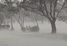 3 Dead, Over 10 Hurt As Walls, Trees Collapse During Storm In Jhelum Storm - The News Today - TNT