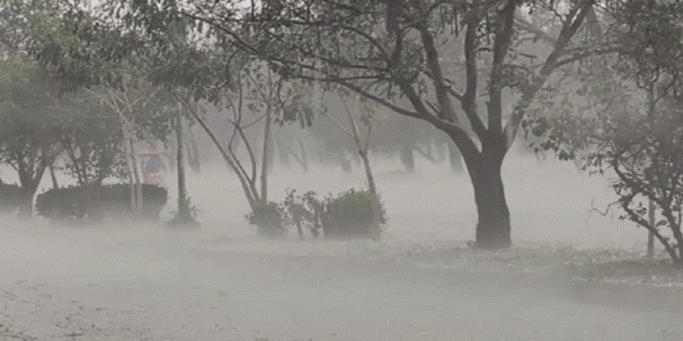 Storm - The News Today - TNT