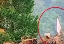 India Waves White-Flag To Admit Humiliating Defeat White - The News Today - TNT