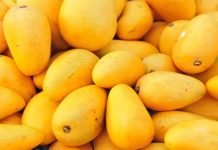 Mango Export; Pakistan Sets Target Of 125,000 Tons Fruit Mango - The News Today - TNT