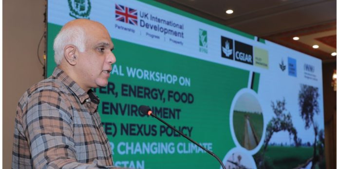 Untitled design (54) Pakistan climate resilience digital tools