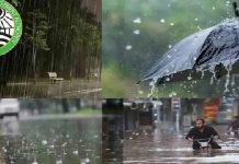 Fourth Spell Of Monsoon To Begin Today Amid Flood Alert Monsoon - The News Today - TNT