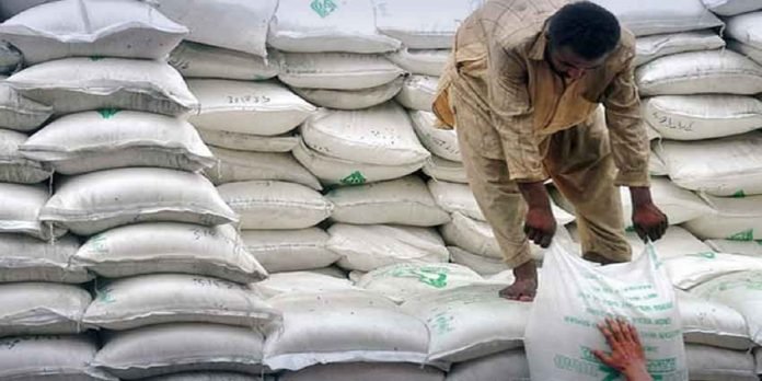 Sugar - The News Today - TNT