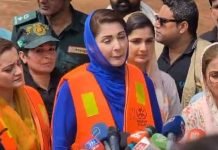 Punjab CM Maryam Nawaz Issues Appeal To Punjab Residents On Food Maryam - The News Today - TNT