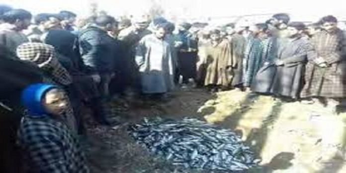 Trout Trout 1 - The News Today - TNT