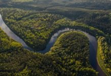 Scientists Discover World’s Largest Snake Species in Ecuador’s Amazon Rainforest