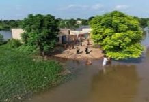 Punjab Floods Destroy 2.2m Acres Of Crops, Rice Hit Hardest Crops - The News Today - TNT