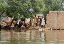 Indus River Swells; Flood Threat Escalates In Sindh After Punjab Flood - The News Today - TNT