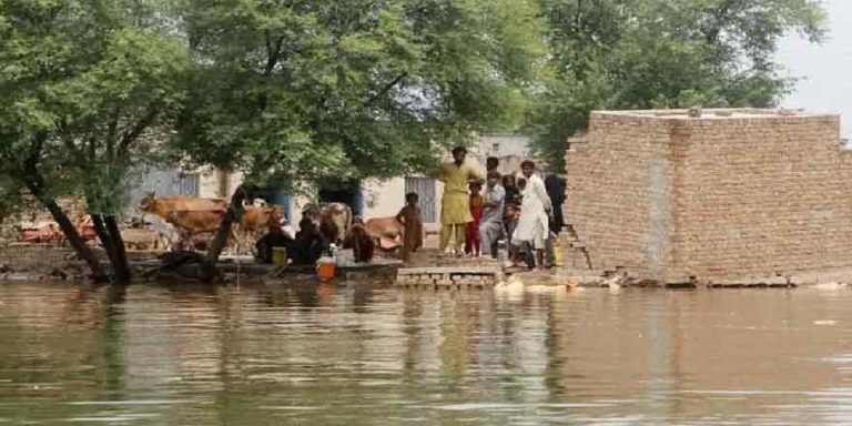 Flood - The News Today - TNT