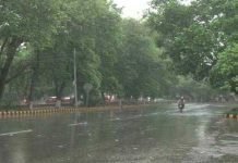 No Roof Collapsed, Dam Broke, Bridge Damaged In Lahore Flood: Report Rain - The News Today - TNT
