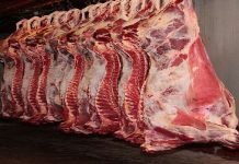 People Seeks Reopening of Srinagar Slaughterhouses for Safe Meat SSH2 - The News Today - TNT