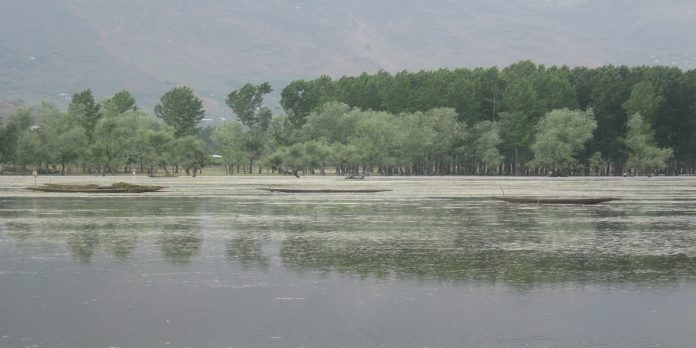 Wular Lake - The News Today - TNT