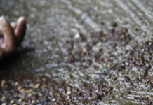 Levies constable shot dead during polio vaccination campaign Levies constable shot dead during polio vaccination campaign