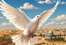 No Peace Without Justice: Rebuilding Gaza Must Begin With Accountibilty Peace dove flying over Gaza ruins