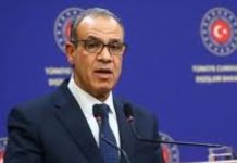 Foreign Minister of Egypt visits Pakistan today: says FO