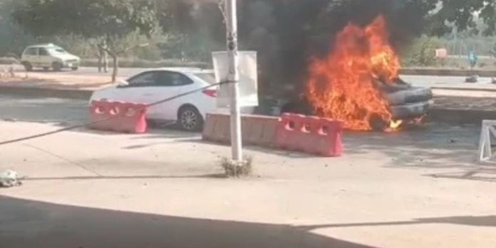 Untitled design (43)